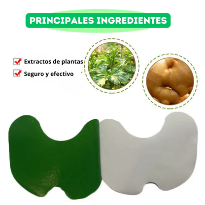 AliviaFlex™ Parches para Alivio del Dolor X 20 Unidades